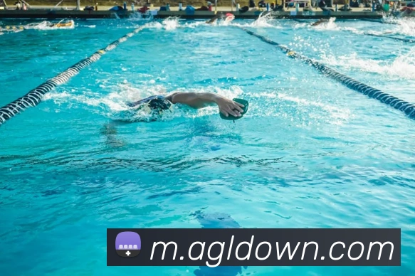 App Interface Preview