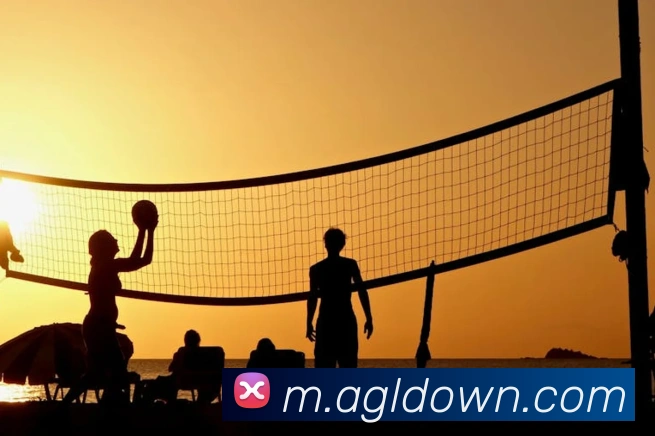 ag百家乐APP 封面图